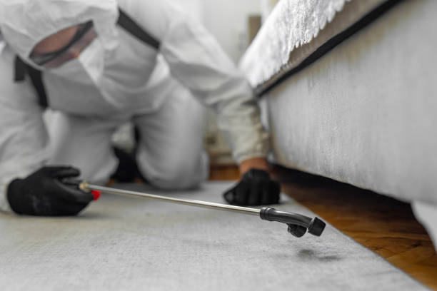 Professional Bed Bug Control technician working in Sterling City, TX