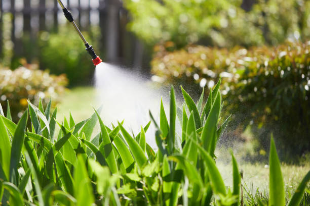 24/7 Emergency Bed Bug Control experts in Sterling City, TX