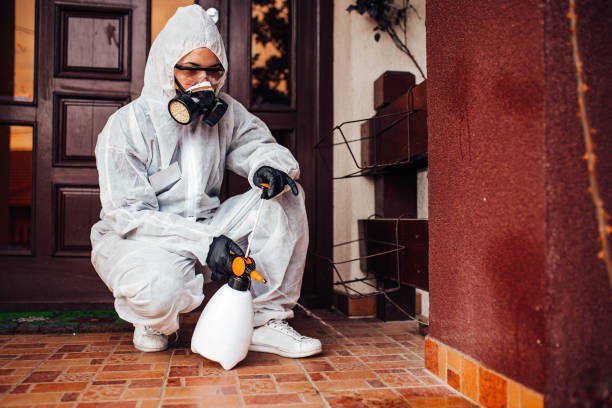 Reliable Bed Bug Control contractor in Sterling City, TX by Nex Pest Control