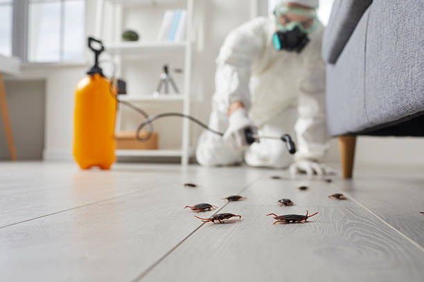 Trusted Termite Control service in Sterling City, TX - Nex Pest Control
